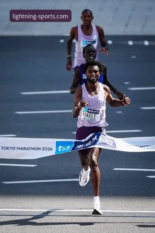 光速体育平台发布2026版：一次面向未来的体育数据交互革新